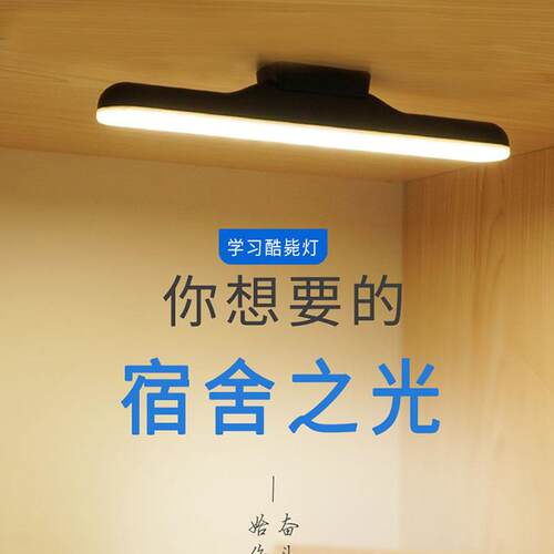 大学生宿舍灯管led长条台灯护眼学习书桌寝室USB充电酷毙插电两用
