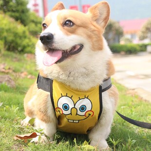 狗狗肚兜柯基犬加厚保暖防水肚兜秋冬防着凉衣服冬天宠物护肚雨衣