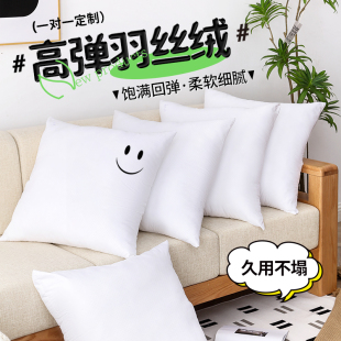 抱枕芯内胆正方形枕芯45x45抱枕心内芯沙发客厅靠垫靠枕50x50枕芯