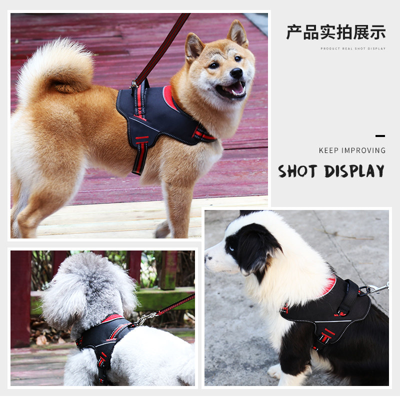 背心式狗狗牵引绳胸背带中型大型犬金毛柯基遛狗绳子狗链宠物用品