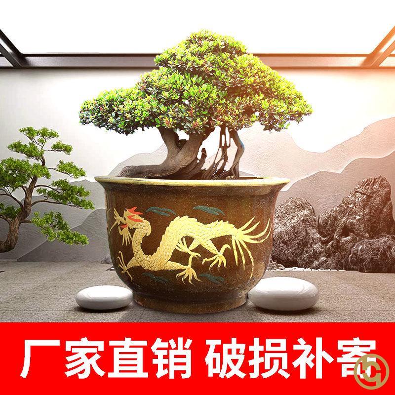 大花盆特大号清仓陶瓷80cm50cm以上花盆超大龙缸庭院种树盆景铁树