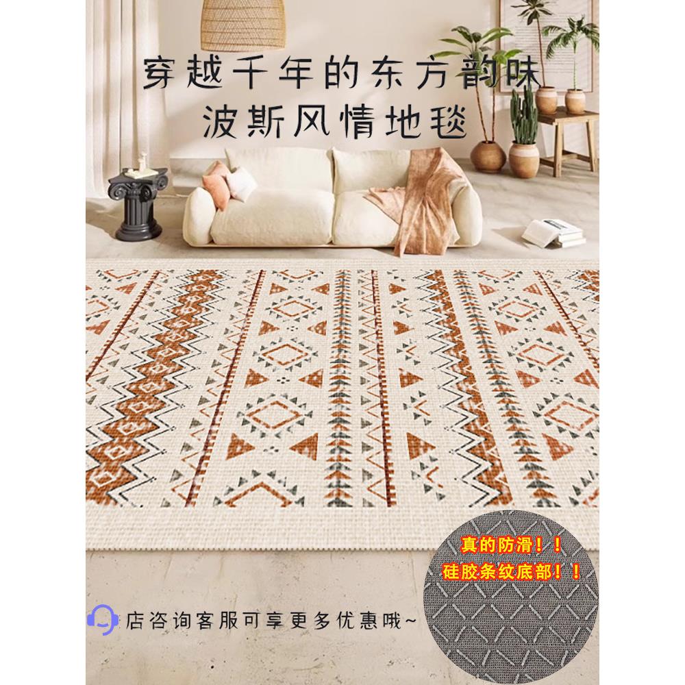 地毯客厅可洗可擦沙发咖啡桌毯子卧室床边毯子可触及豪华高端防滑
