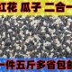 小瓜子红花籽白瓜子混合油葵籽尚玄凤鹦鹉鸟食5斤