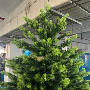 2023新款耶诞树家用全pe发光高级感装饰品耶诞节加拿大冷杉诺贝松