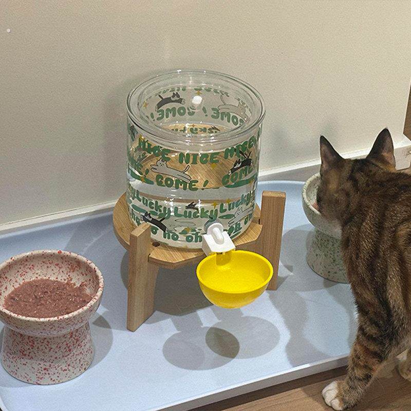 自制猫咪饮水机diy大容量宠物狗狗喂水器家用不插电自动饮水器