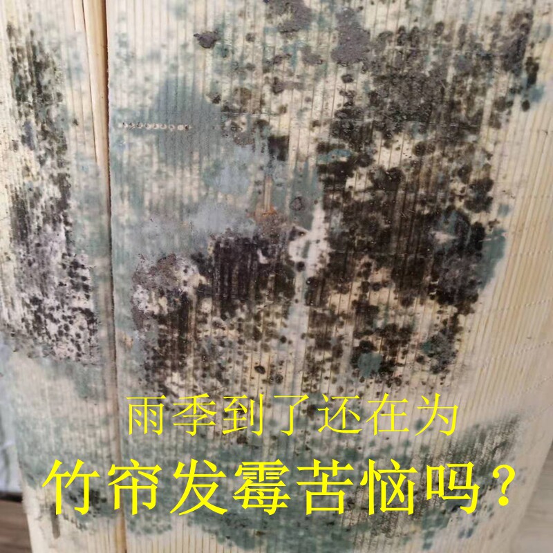 防霉防水防雨防火竹帘窗帘卷帘卫生间浴室帘子户外遮光帘门帘室外