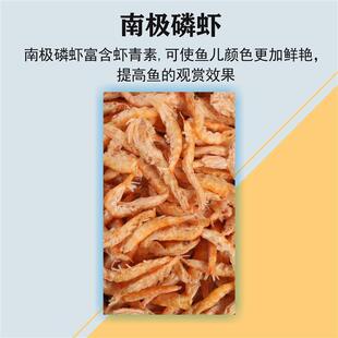 红鹿迷你鹦鹉鱼饲料宝蓝鹦鹉鳑鲏鱼小型热带鱼增色微粒贴片鱼粮食