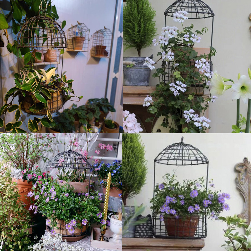 吊挂花盆 悬挂式吊篮花架 垂吊吊兰盆吊盆 吊花篮架 绿植铁艺挂架