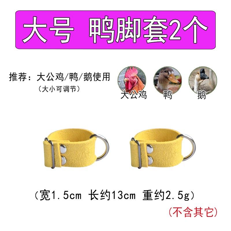 小鸡柯尔鸭牵引绳遛鸭子绳脚套式牵引绳遛鸡绳宠物用品鸽子鹅绳,宠物/宠物食品及用品,鸟用放飞绳,淘宝优惠券,粉丝福利购,淘宝优惠卷