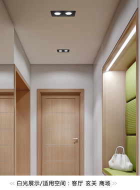 双头筒灯黑色天花灯led嵌入式可调角度斗胆灯双孔长方形孔20*10cm