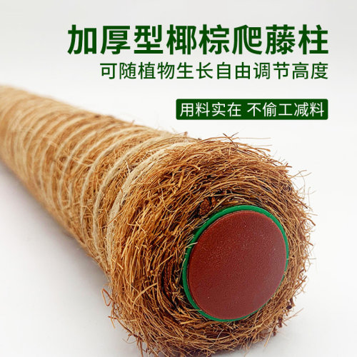 椰棕棒龟背竹支撑杆绿箩爬藤支架植物攀爬柱椰丝固定架花架棕榈柱