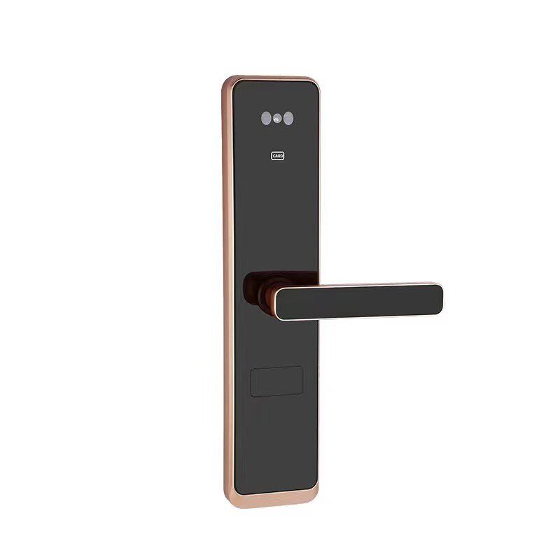 智能门锁人脸识别锁房门锁家用通用型锁密码刷卡适合防盗门木门锁