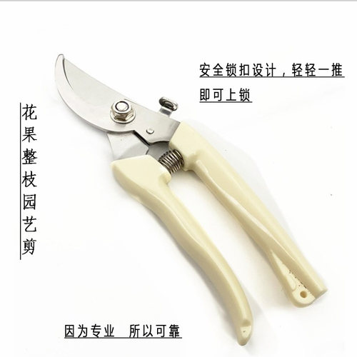 不锈钢树枝修枝剪摘果剪花木剪刀粗枝剪果树花枝剪修花园艺工具剪