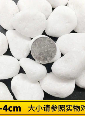 鹅卵石雨花石原石天然小石子鱼缸花盆鹅软石装饰盆栽园艺五彩石头