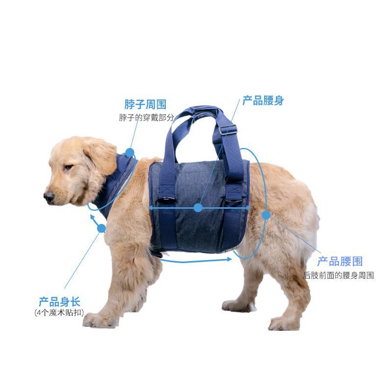 高龄犬狗后腿无力牵引带走路手提辅助下楼出行金毛髋关节背带宠物