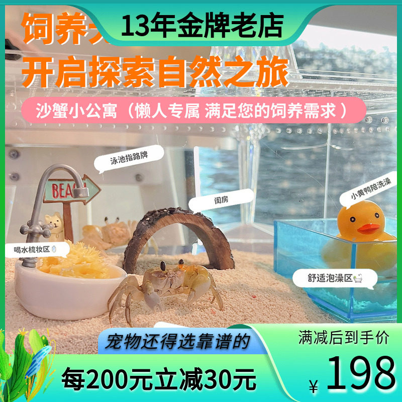 小沙蟹饲养套装陆生海水淡水观赏宠物蟹懒人混养寄居蟹包邮包活