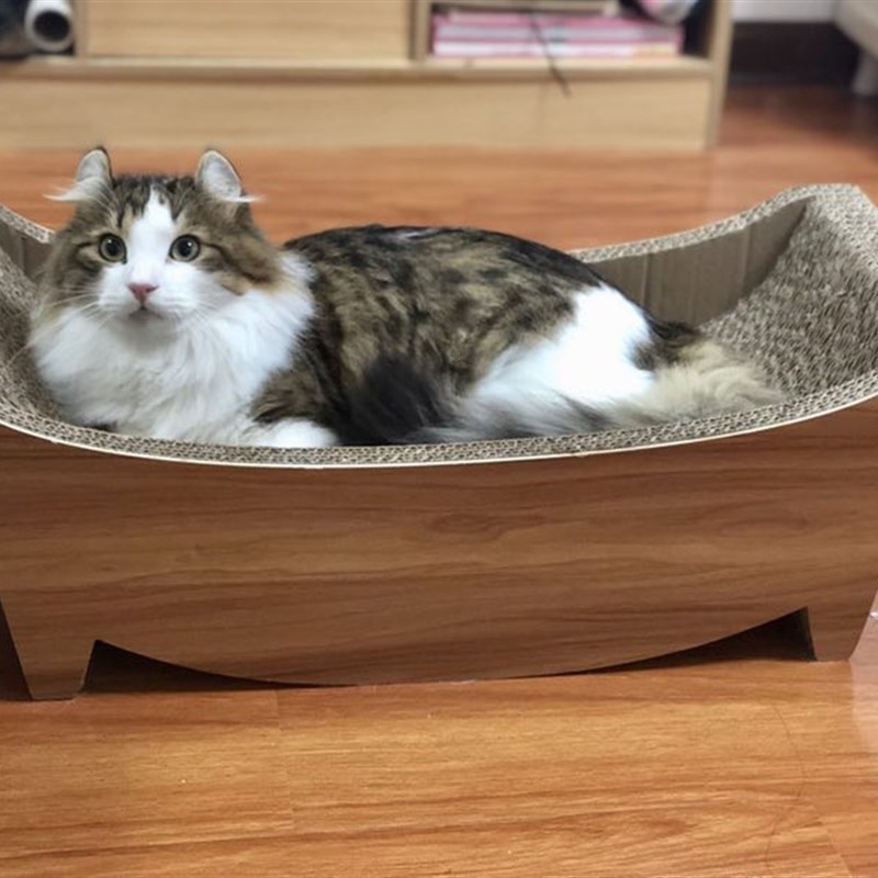 船型浴缸型 猫玩具猫磨爪板宠物猫抓板猫窝猫船加厚猫咪用品包邮