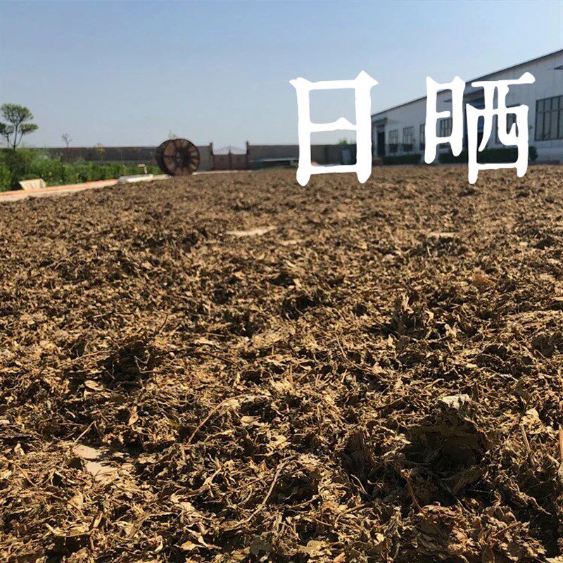 3.510cm无为灸大艾条定制陈年艾绒柱南阳悬灸石磨粗艾条10支/包