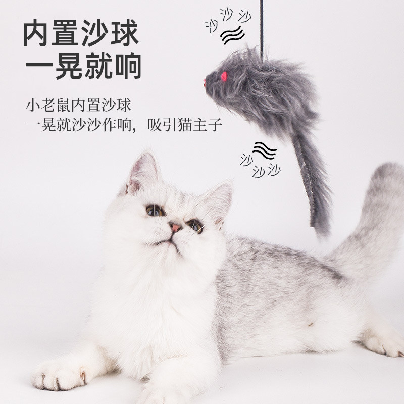 猫玩具逗猫棒挂门式羽毛小老鼠耐咬猫咪自嗨解闷逗猫神器宠物用品,宠物/宠物食品及用品,逗猫棒,淘宝优惠券,粉丝福利购,淘宝优惠卷