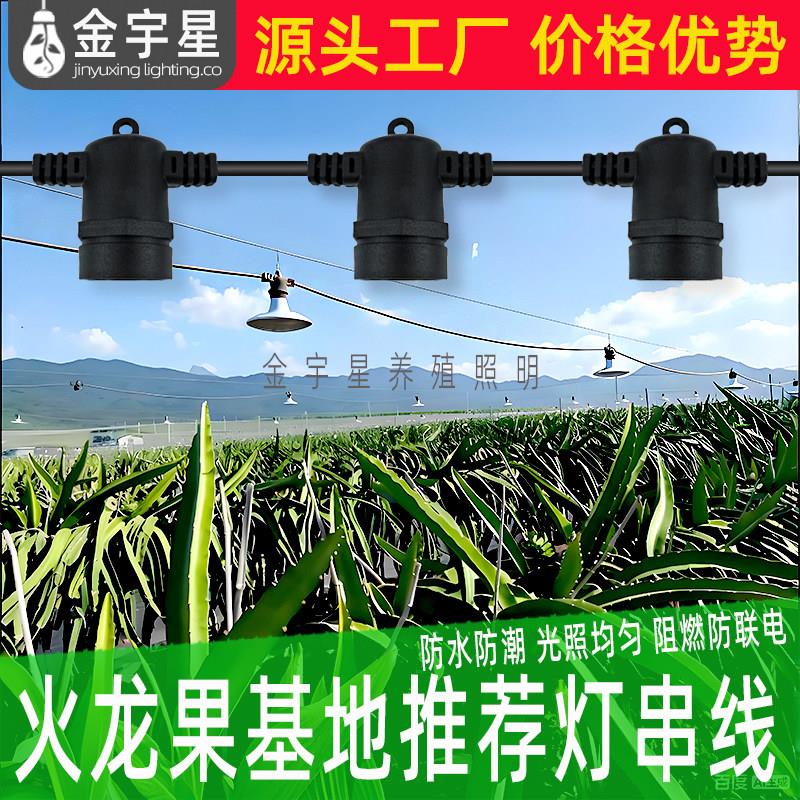 火龙果养殖灯线一体彷太阳农业大棚植物生长补光灯led百香果室外