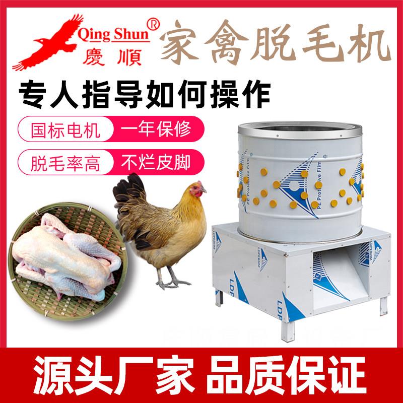 庆顺家禽脱毛机 商用自动拔毛机 杀鸡鹅鸭电动除毛机 台湾家用版