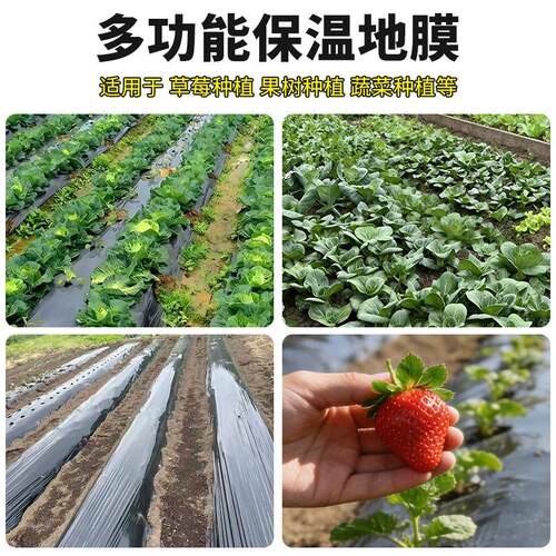 除草布黑地膜农用蔬菜保温保湿大棚薄膜种植果树果园防长草遮阳布
