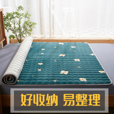 秋冬加厚牛奶绒毛毯床垫防滑软垫家用保暖毯子垫床褥垫加绒面铺床