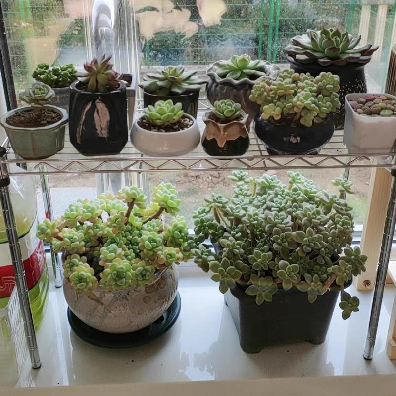 一层两层置物架可调节隔层架桌面整理架夹缝收纳架橱柜分层窄架子