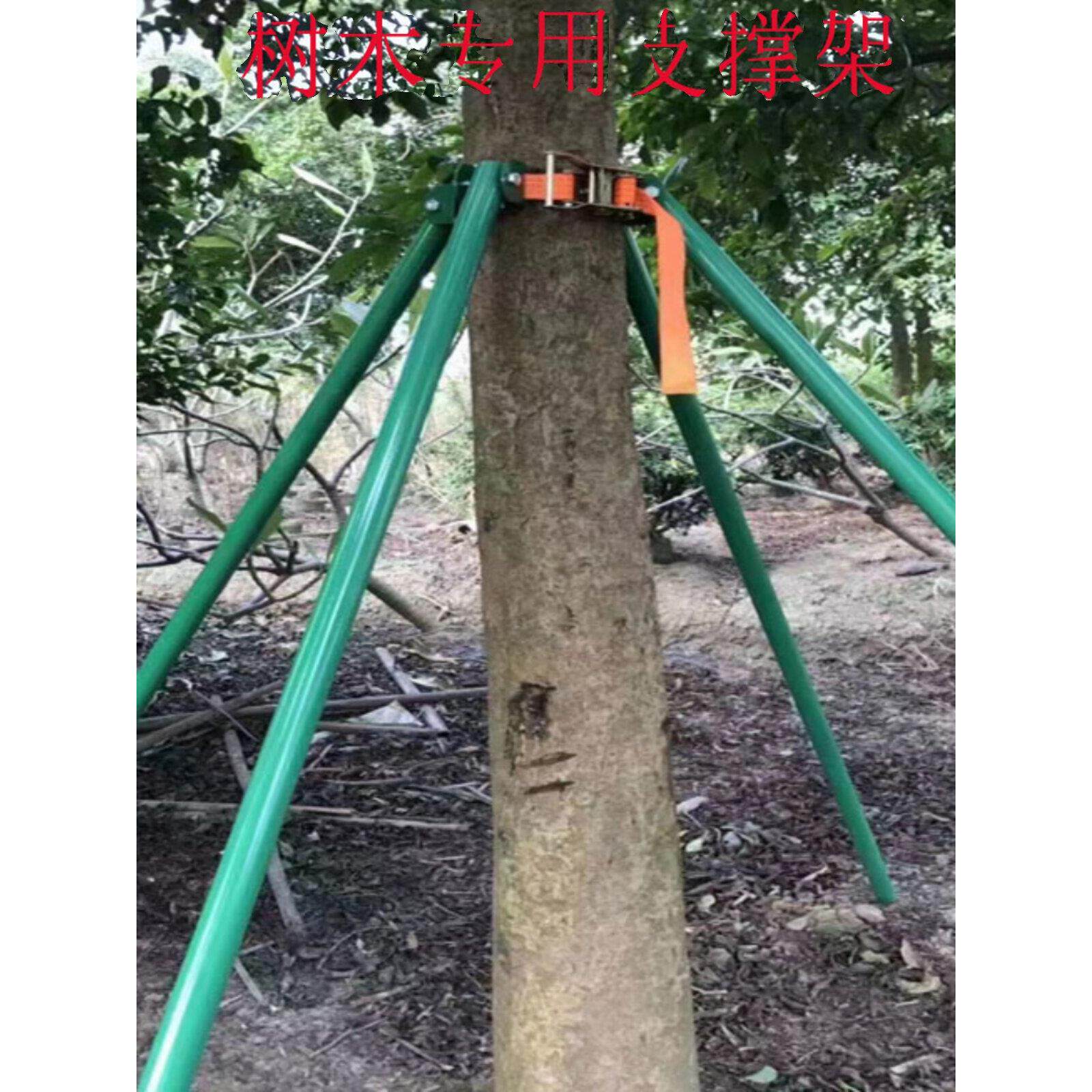 树木支撑固定器镀锌钢管紧带式树木支撑杆防风园林绿化树木支撑架