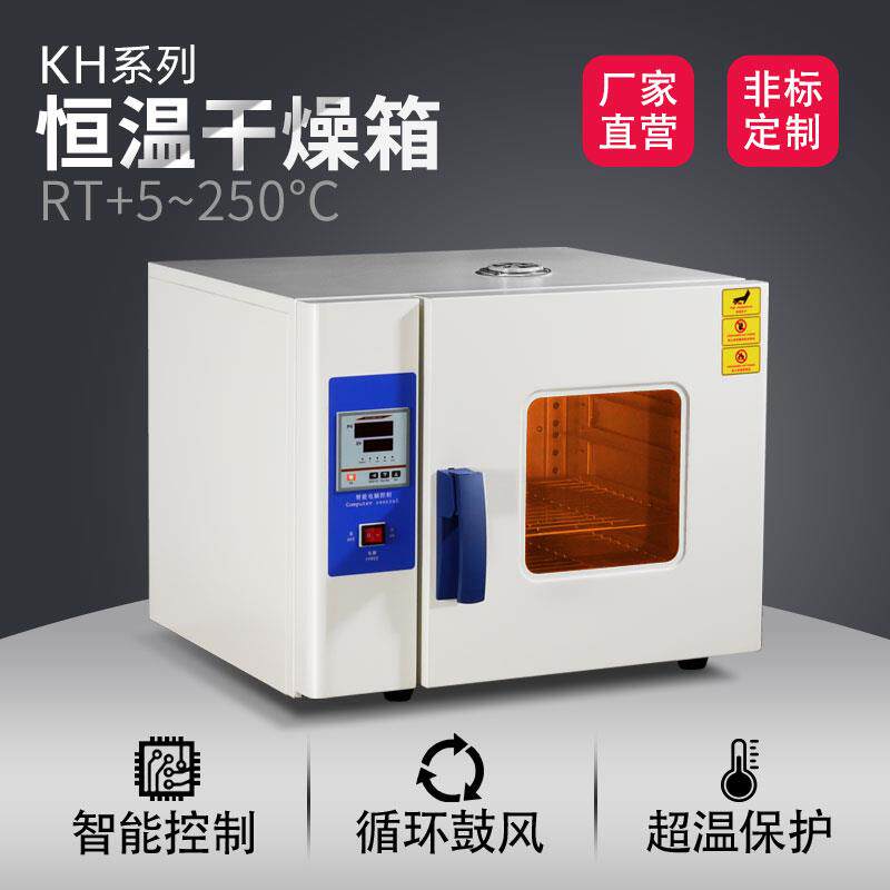 电热恒温鼓风干燥箱实验室烘箱食品烘干箱高温老化箱小型工业烤箱