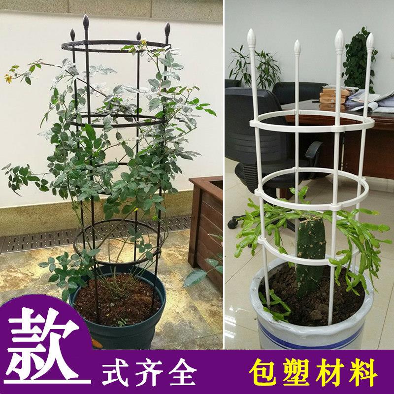 花架爬藤架月季花盆支撑支架柱形架子蓝雪花蟹爪兰藤架固定攀爬杆图片