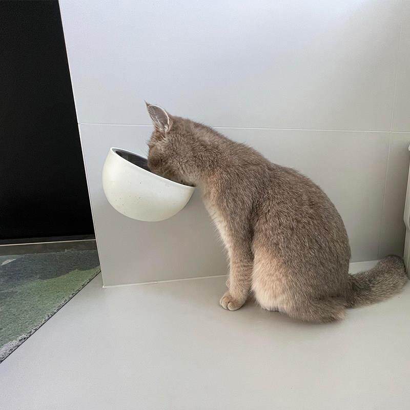 磁吸猫碗上墙悬空悬浮猫碗悬挂宠物碗吸盘水碗狗喝水碗贴墙不锈钢