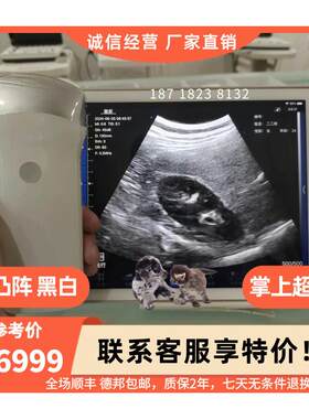 Sonostar掌上超声 手持超声 无线探头 彩超机b超机 肌骨 宠物兽用