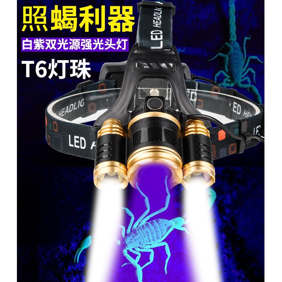 头戴式照蝎子专用灯头灯强光超亮充电夜钓钓鱼灯手电筒蝎子紫光灯