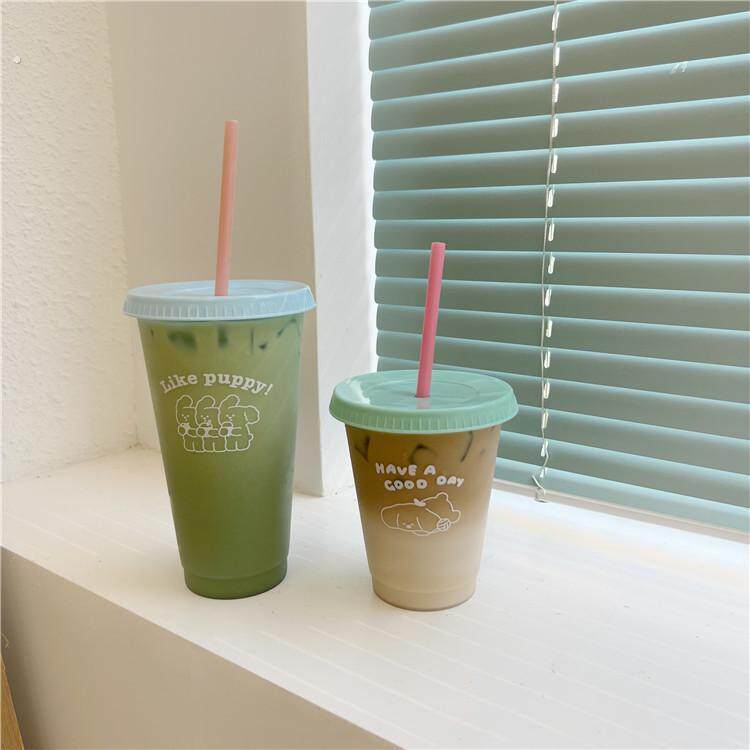 每天都要喝水!夏日大容量水杯随行杯女塑料吸管杯随身可携式咖啡