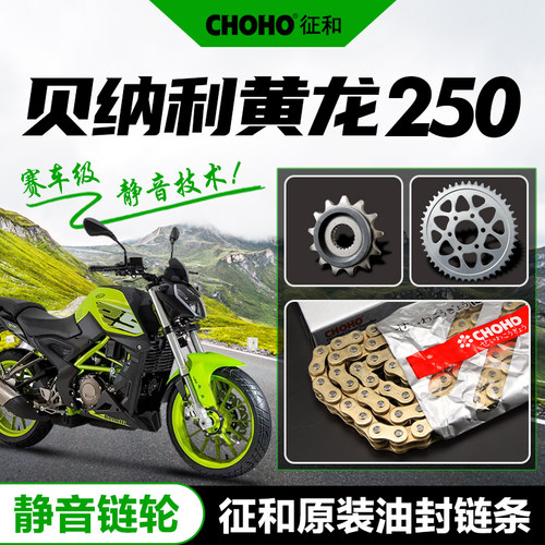 倍力尼小黄龙BJ250幼狮250 TNT25静音大齿盘链轮TRK251征和油封链