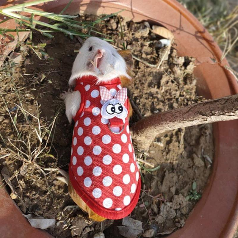 侏儒兔牵引绳龙猫衣服无毛豚鼠小宠用品荷兰猪牵引绳衣服天竺鼠