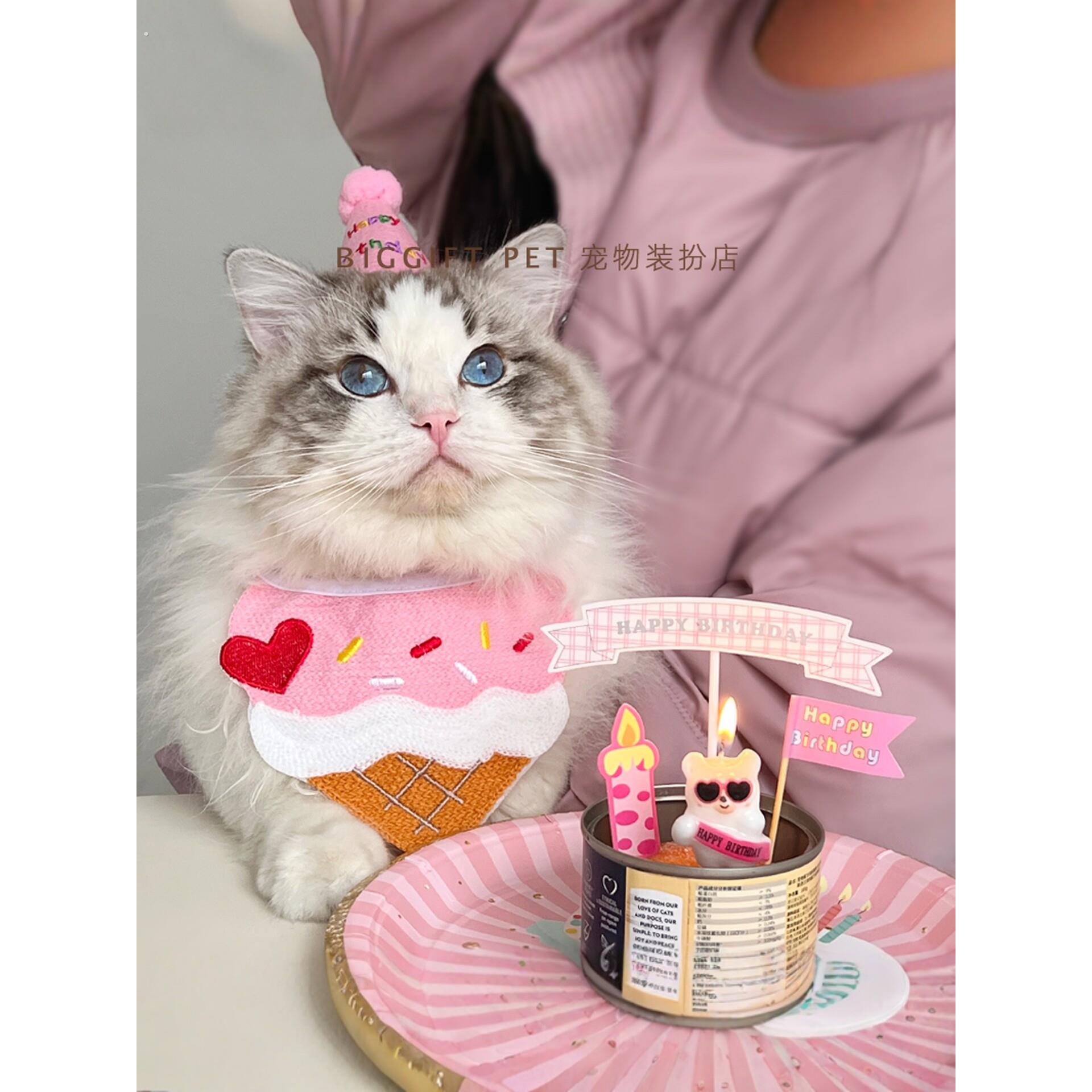 宠物粉红色生日蛋糕装饰猫狗派对围兜装扮集纸盘蜡烛插件用品