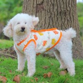 宠物服饰纯棉秋冬狗马甲泰迪法斗雪纳瑞柯基无毛猫宠物衣服棉背心