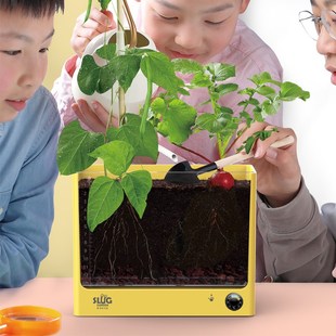 鼻涕虫花园六一儿童节礼物儿童植物观察窗生日礼物种植盆栽