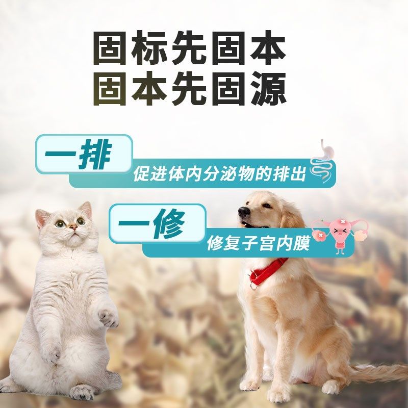 猫咪狗狗子宫宫产后内膜炎蓄脓护理积液母犬假孕宠物感染清,宠物/宠物食品及用品,狗特色保健品,淘宝优惠券,粉丝福利购,淘宝优惠卷
