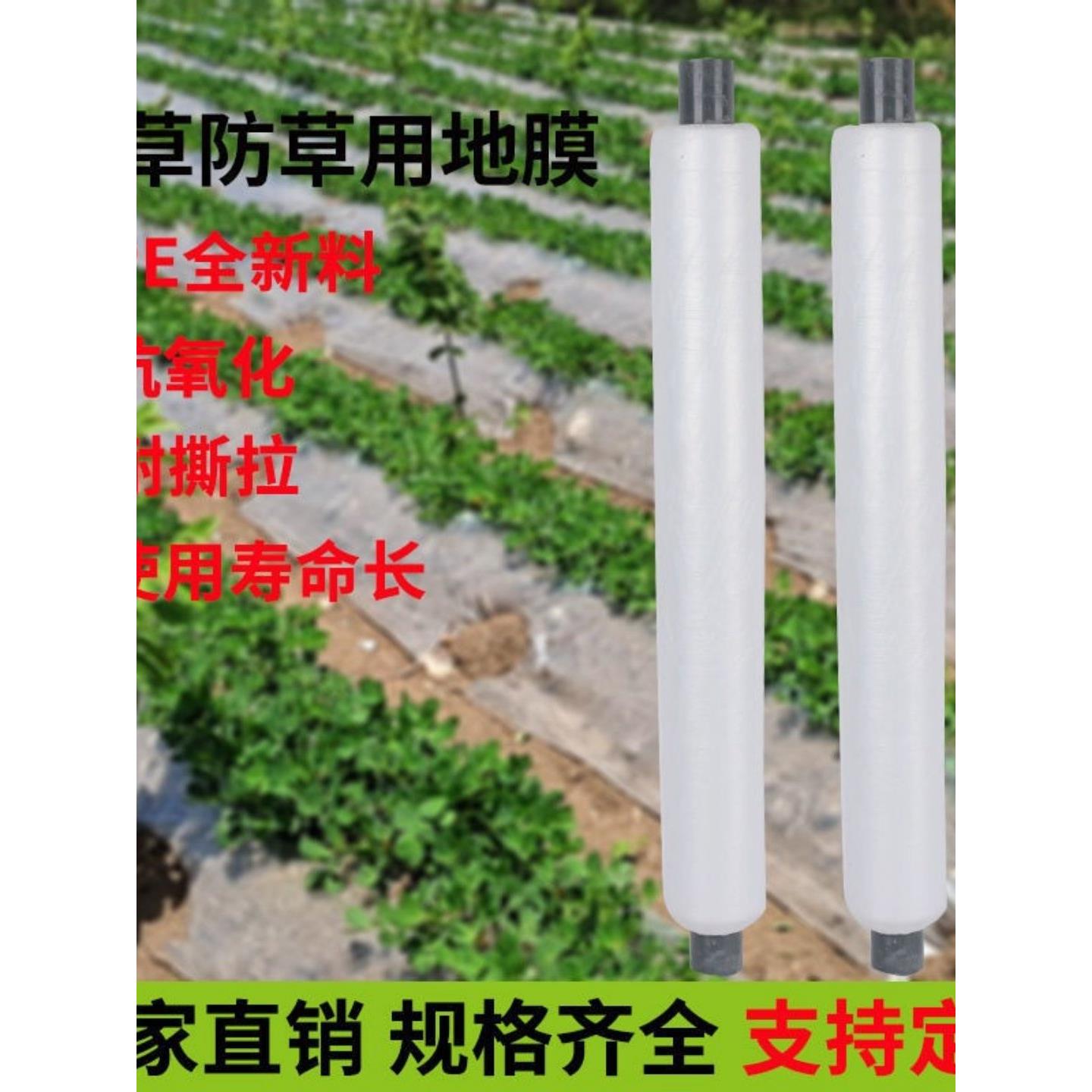 农用保温湿除草黑色白色地膜果园老化大棚银黑膜草莓种植塑料薄膜