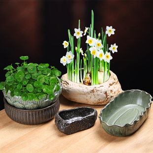 水仙花陶瓷无孔花盆创意水培铜钱草水养睡莲多肉家用大号专用盆