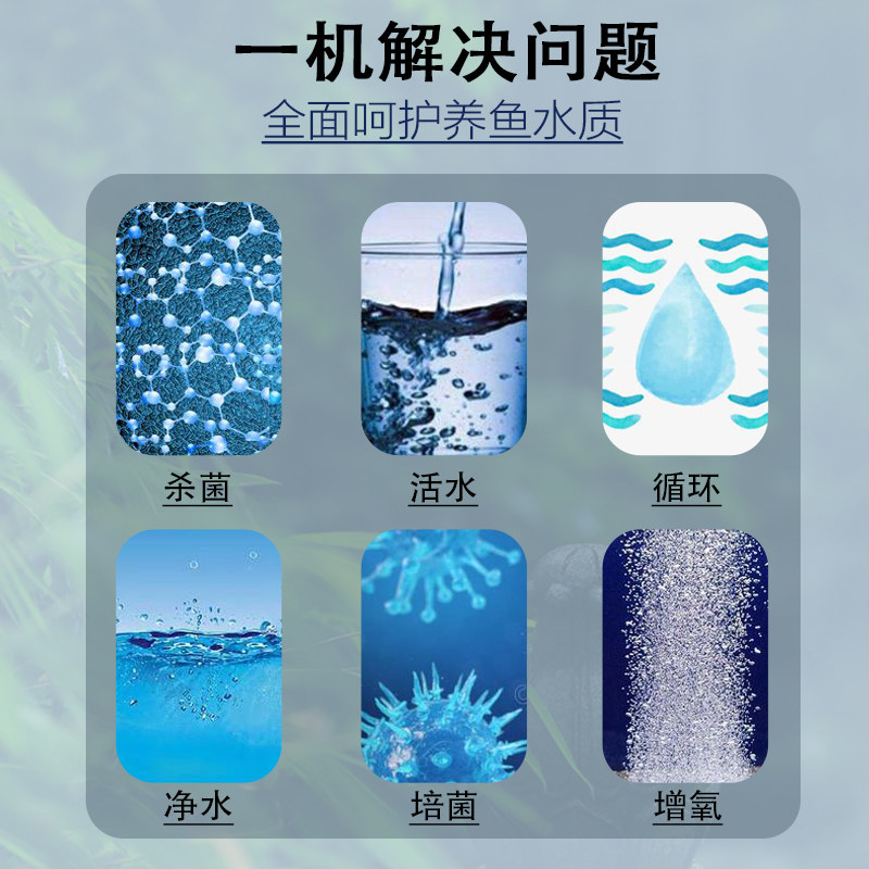 鱼缸过滤箱养鱼循环水鱼池水循环系统沼泽过滤箱生态过滤水培植物