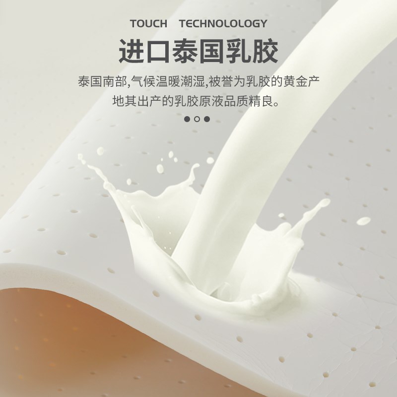 椰棕床垫棕垫棕榈硬垫子折叠1.5米可定制1.8米经济型护腰家用床垫