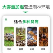 爬宠加湿器带管子热带雨林乌龟蜥蜴变色龙爬行动物养护箱喷雾化器