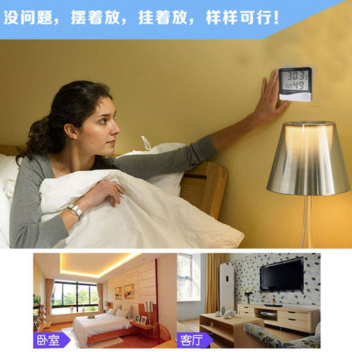 家庭园艺测温计多肉植物温度计家用室内电子数显计温度表壁挂式