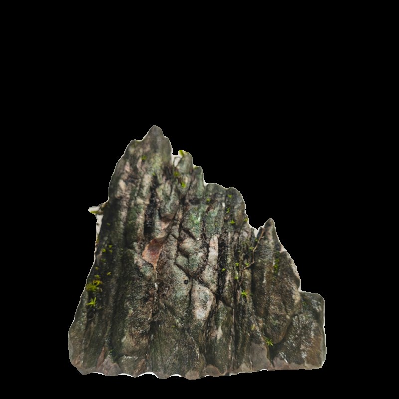 广西龟纹石造景石水旱水陆鱼缸盆景天然抱树绿植花盆庭院客厅摆件
