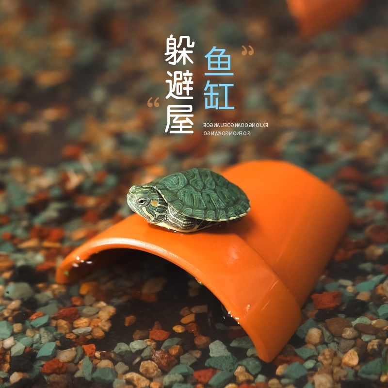 乌龟鱼类躲避屋洞穴瓦片黄缘龟爬虫加湿躲避屋窝乌龟晒台爬台造景,宠物/宠物食品及用品,造景/装饰,淘宝优惠券,粉丝福利购,淘宝优惠卷