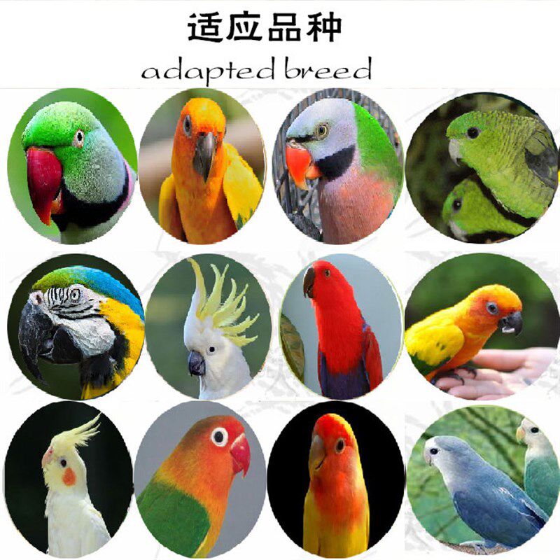 当年油葵花籽向日葵籽牡丹鹦鹉鸟食仓鼠零食鸽粮玄风小黑瓜子饲料